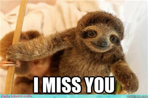 I miss you best dance partner ever - i miss you baby sloth - quickmeme