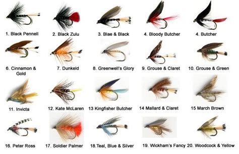 Trout fishing tips depot - The Angler Source for Trout Fishing Tips ...