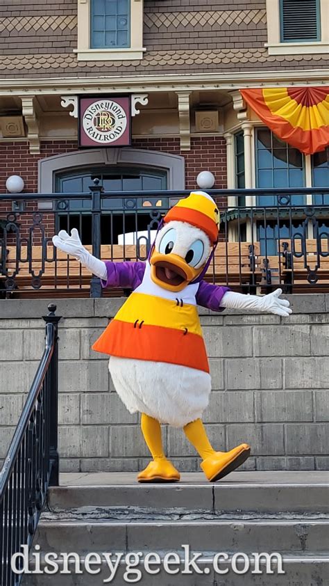 Pictures: Donald Duck in his Halloween Costume at Disneyland - The Geek ...