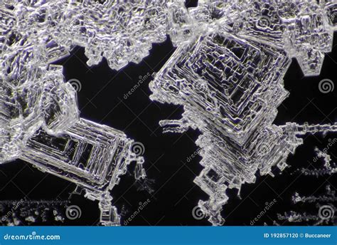 Microscopic View Of Sodium Chloride Crystals Stock Photography ...