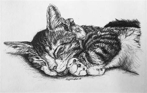 Janet England's Blog: Custom Pen and Ink Cat Drawings by Inspurration