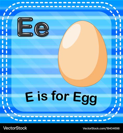 Flashcard letter e is for egg Royalty Free Vector Image