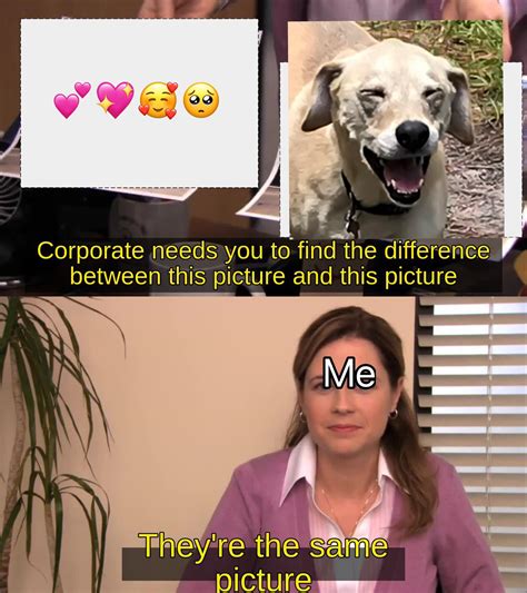 Me to my dog everyday: 🥺💕 : r/wholesomedogmemes