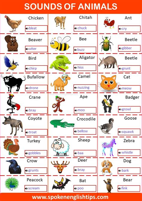 Sounds of Animals List with Words that Describe those Sounds -(May 2022 ...