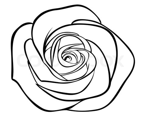 Rose With Thorns Drawing | Free download on ClipArtMag