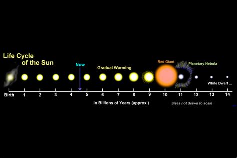 Life cycle of the Sun — Science Learning Hub