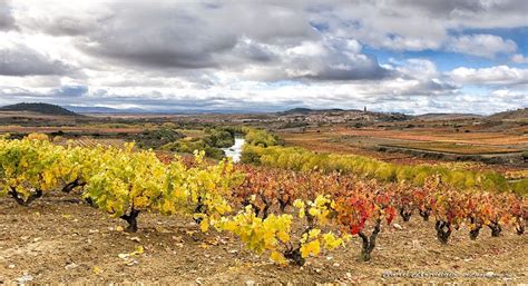 Rioja | Wine Regions | Spain