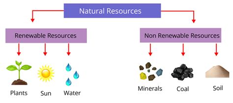 Renewable and Non-Renewable Resources : Types, Differences, Examples ...