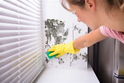 How to Get Rid of Mold on Walls: Permanently