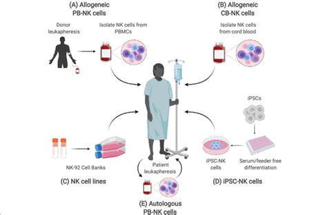 Sources of NK cells. Current NK therapies use NK cells from the ...