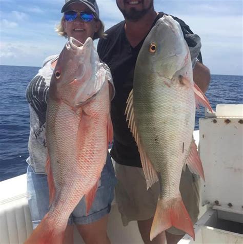 Snapper Fishing | Key West Fishing