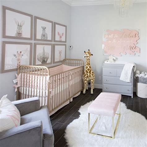 1658 best Baby Girl Nursery Ideas images on Pinterest