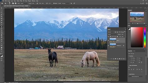 How to Blur Background in Photoshop - A Guide for Beginners