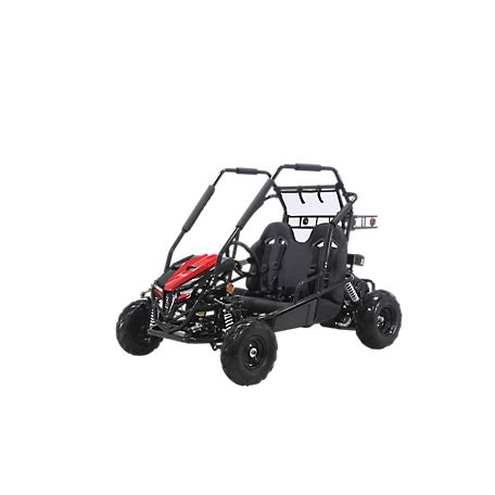 Coleman Powersports 196cc 2-Seater Gas-Powered Go Kart at Tractor ...