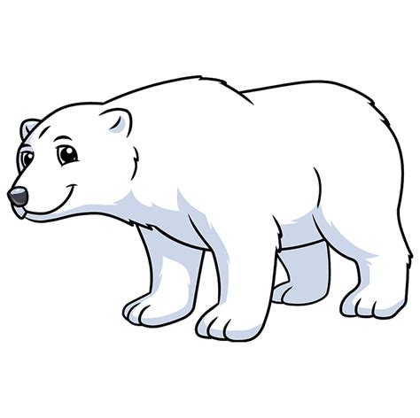 Easy Polar Bear Drawing - Step by Step Guide