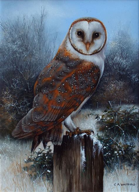 Winter Barn Owl square oil painting on wood panel - craibas.al.gov.br