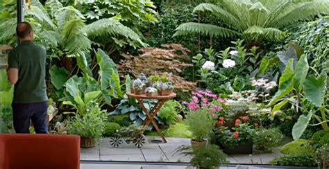 Small Tropical Garden Ideas - GardenProfy