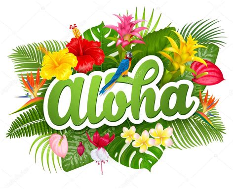 Aloha Hawaii lettering and tropical plants — Stock Vector © Pazhyna ...