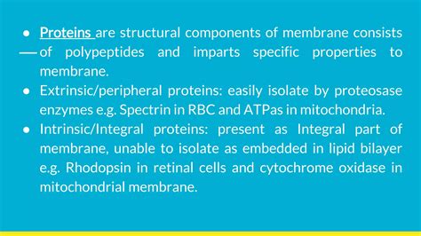 Plasma membrane structure & function | PPT | Free Download