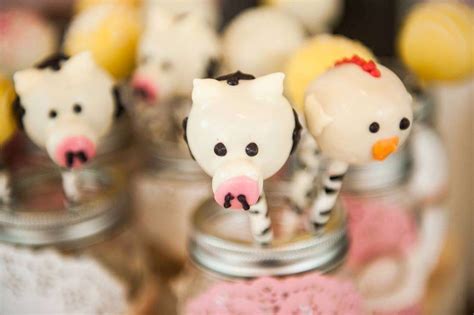 Petting Zoo/Farm-Themed Birthday Party Ideas | Photo 5 of 30 | Farm ...