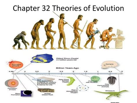 PPT - Chapter 32 Theories of Evolution PowerPoint Presentation, free ...