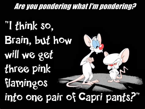 Pinky And The Brain Quotes. QuotesGram