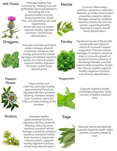 Our Different Kinds of Fermented Herbs and Their Benefits! - Goddess of ...