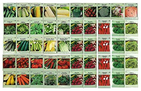 50 Packs Assorted Heirloom Vegetable Seeds 20+ Varieties All Seeds are ...