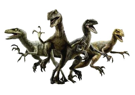 Velociraptor | Jurassic Park Wiki | Fandom