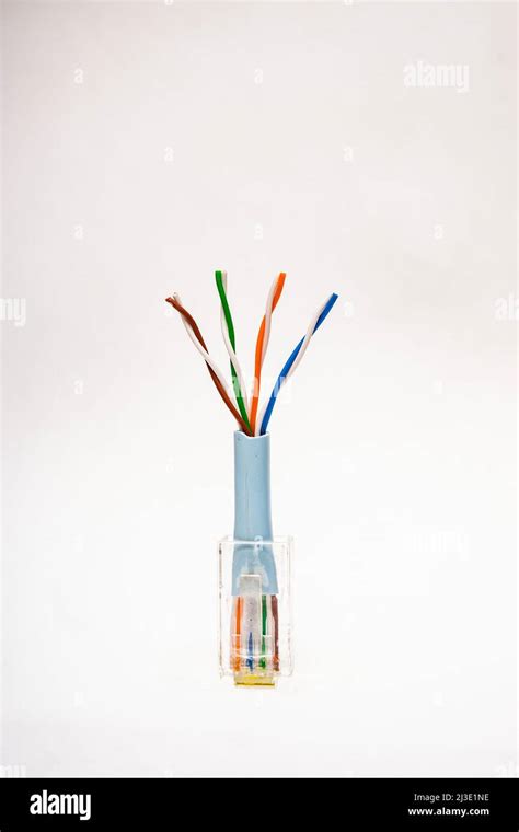 An Rj 45 Connector with Category 5 color coded twisted pair wires used ...