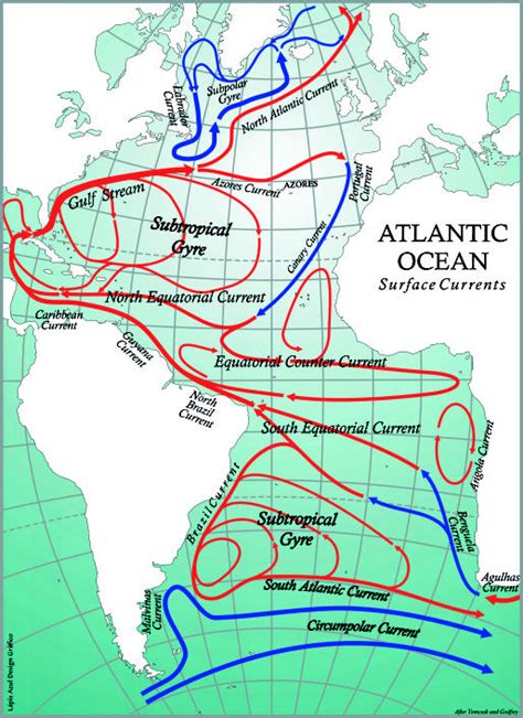 North Atlantic Ocean Currents Map - ocean wildlife