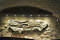 Category:Unidentified Archosauria fossils - Wikimedia Commons