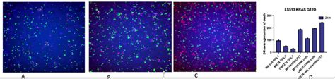 Immune Co-Culture with NK cells at 24 h showed increase in cell death ...