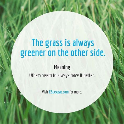 IDIOM: "the grass is always greener" #idioms #follow4follow # ...