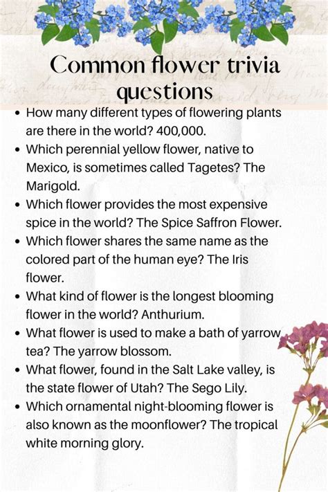 50+ Fun and interesting flower trivia questions - Kids n Clicks