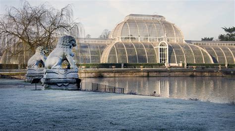 Palm House | Kew