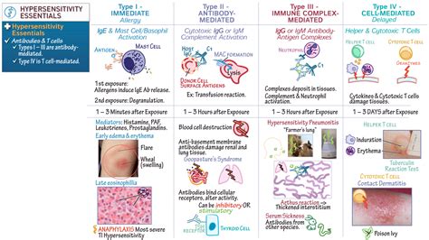 Immunology / Microbiology: Hypersensitivity Overview | ditki medical ...