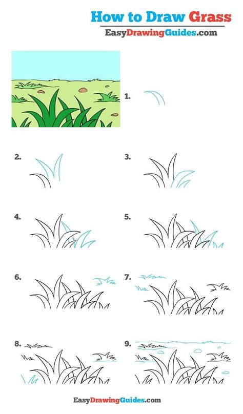 Grass Scenery Drawing