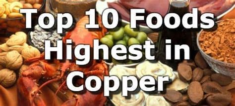 Top 10 Foods Highest in Copper