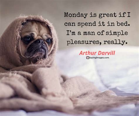 35 Positive Monday Quotes to Get You Fired Up - SayingImages.com