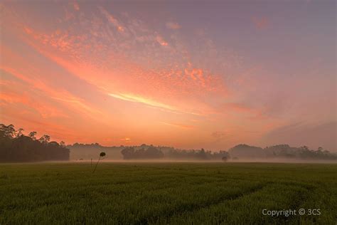 Sunrise over a Paddy Field in Galle, Sri Lanka | Sunrise, Outdoor ...