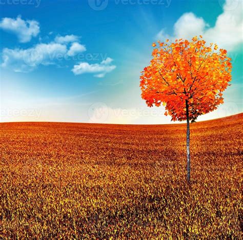 autumn landscape. Nature. 9851109 Stock Photo at Vecteezy