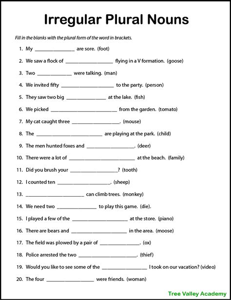 Regular And Irregular Plural Nouns Worksheets