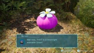 Pikmin 4 Pink Onion location | VGC