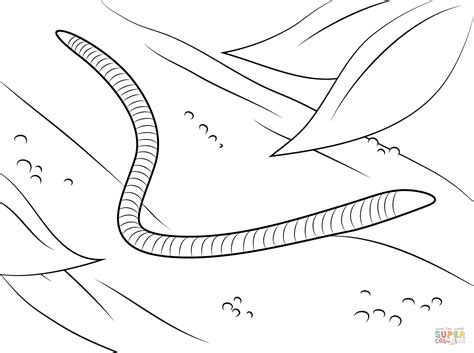 Worm coloring page | Free Printable Coloring Pages