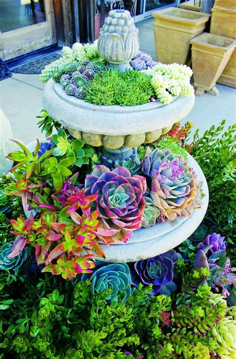 33 Best Repurposed Garden Container Ideas and Designs for 2020