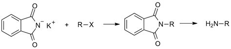 Could tert-butylamine be prepared by the Gabriel synthesis? | Quizlet