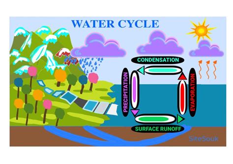 Water Cycle Animation : r/UsefulCharts