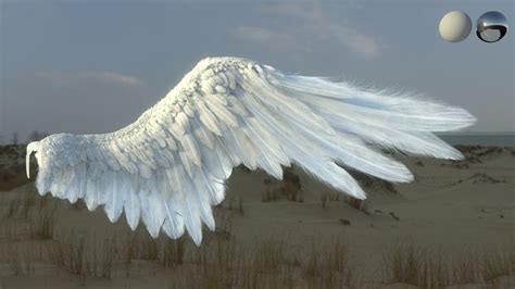 Angel Wings Concept Art