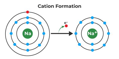 Cations vs Anions - Difference Between Cations and Anions with Examples